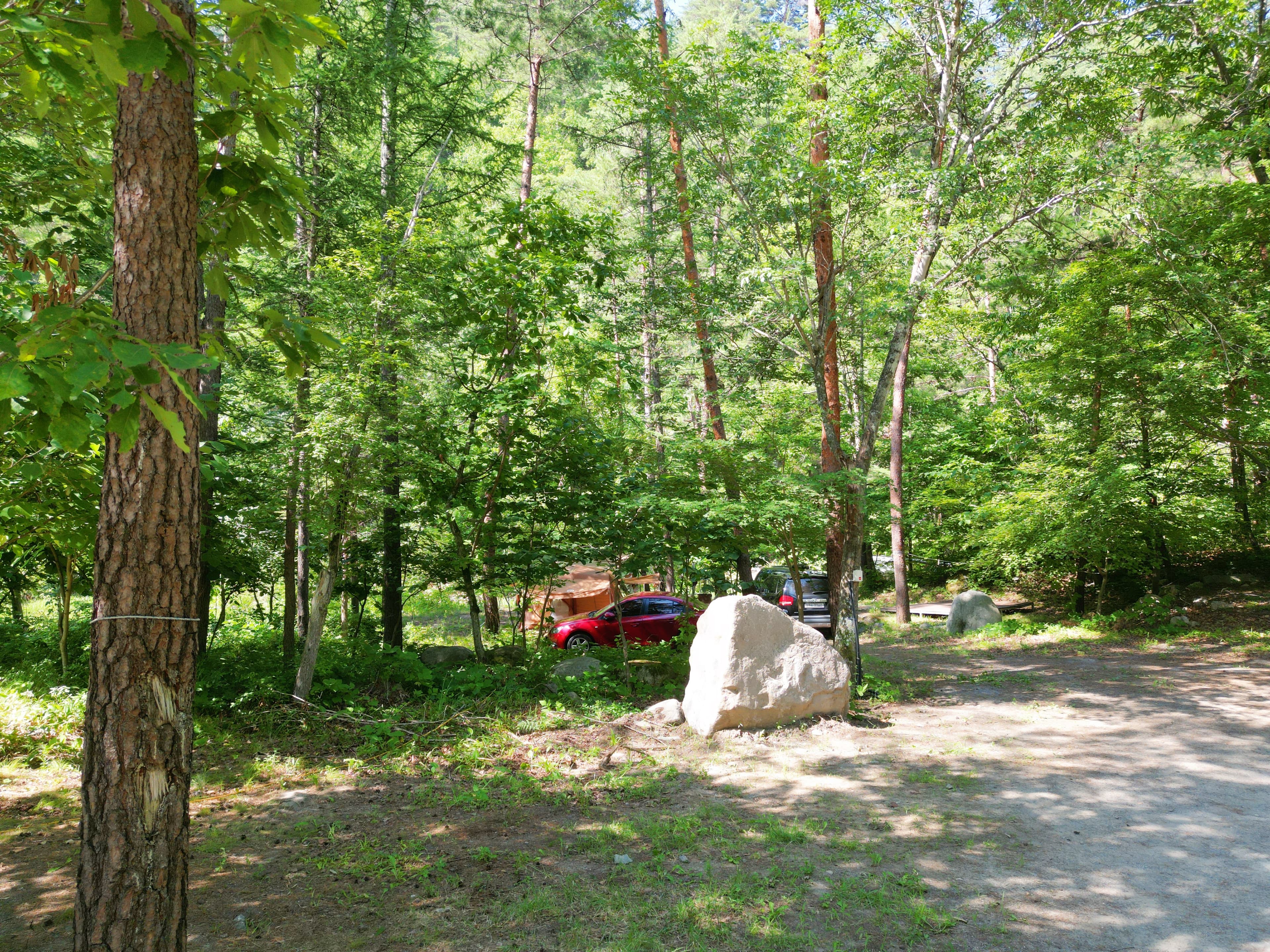 산내들 관광농원 이미지 2