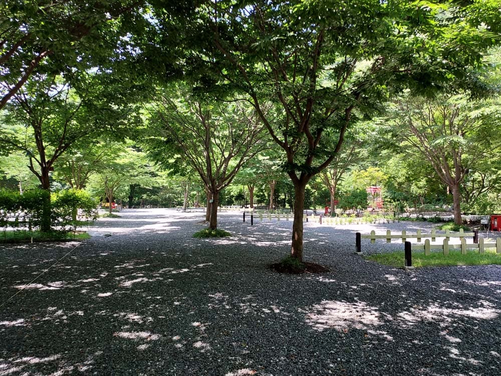 횡성산울림오토캠핑장 이미지 2