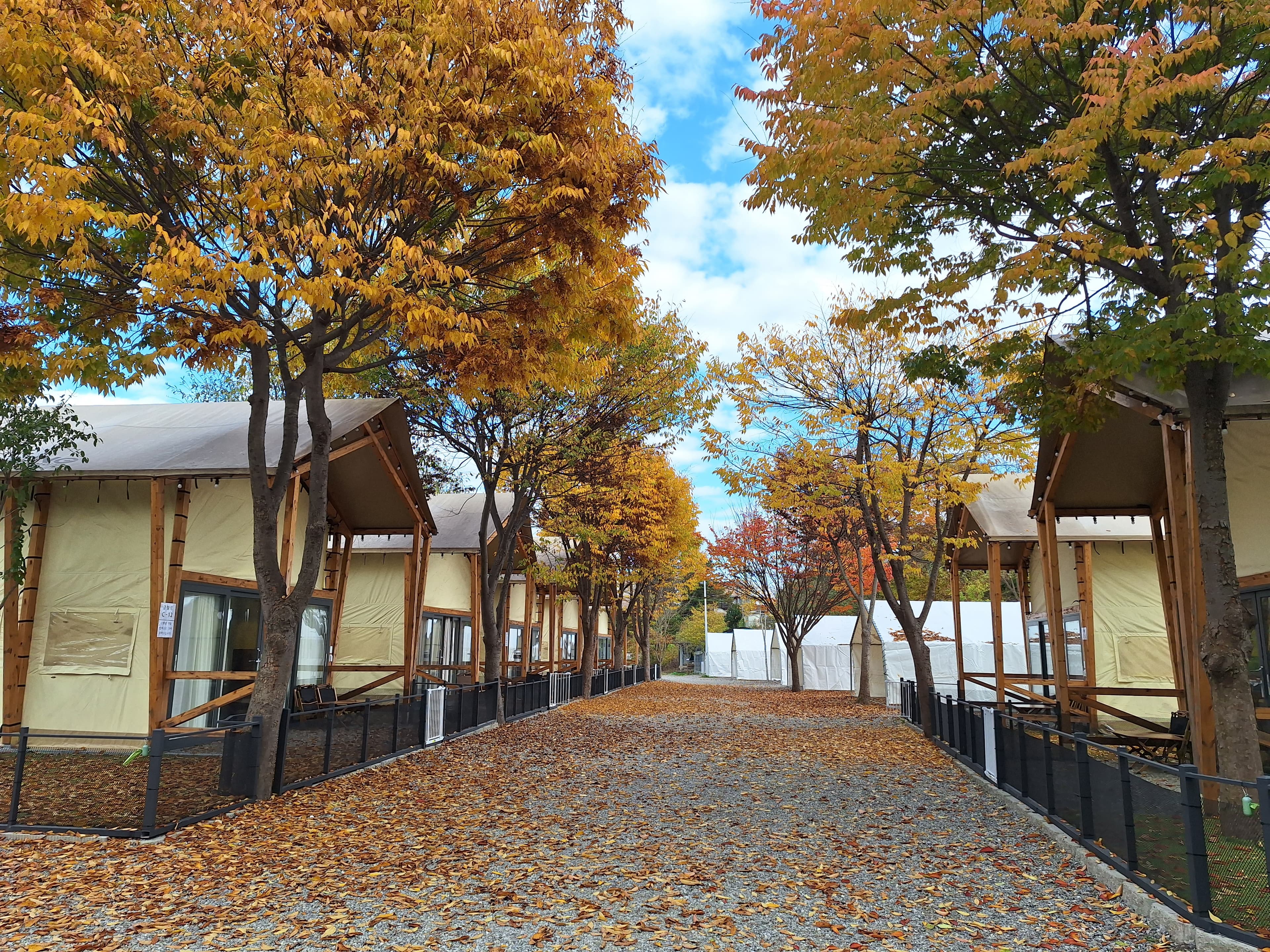 하이몽글램핑&캠핑장 이미지 2