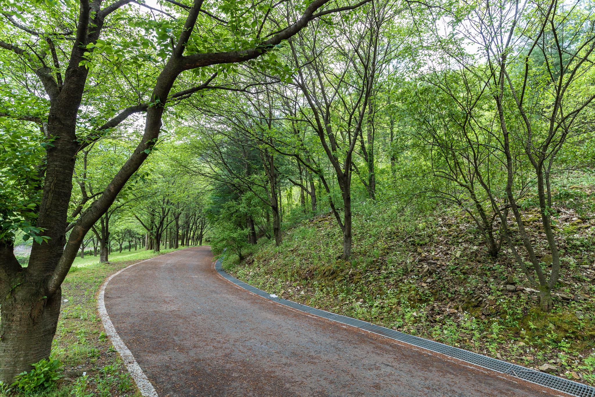 꿈꾸는 농부 오토캠핑장 이미지 2