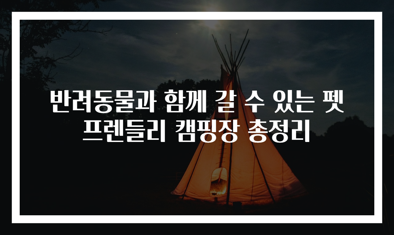 반려동물과 함께 갈 수 있는 펫 프렌들리 캠핑장 총정리